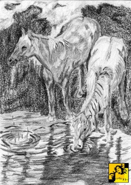 Konie u wodopoju