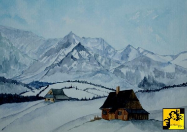 HALA GĄSIENICOWA