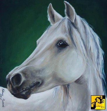 portret konia