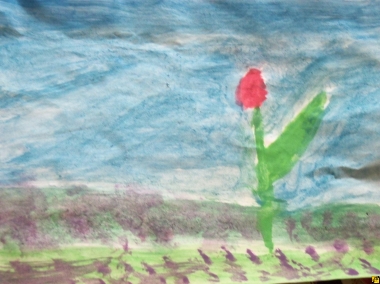 tulipan we fiołkach