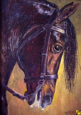TEJODOR