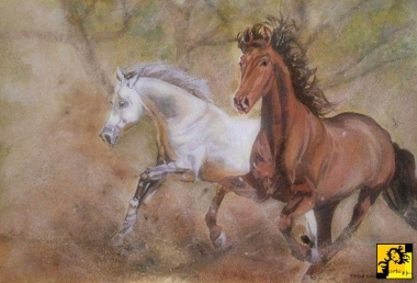 Dzikie konie (2)