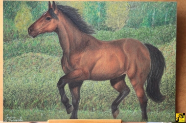 Koń 2