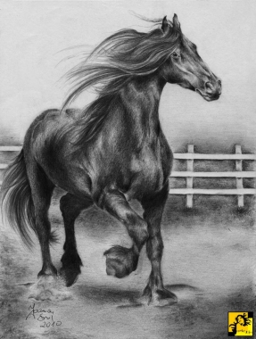 BLACK HORSE