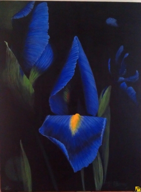 Night Iris. Obraz akrylowy 60x80.