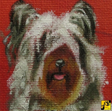 Sky Terrier