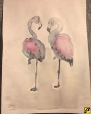 flamingi 