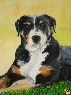 Portret psa