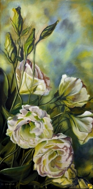 Eustoma