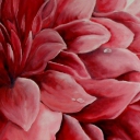 Dalia