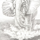 Atak słonia