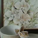 Phalaenopsis w zieleni filiżanka