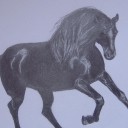 Koń szkic 1
