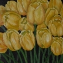 Tulipany