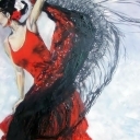 Flamenco 04