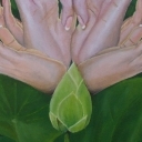 Lotus Hands
