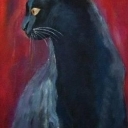 kot