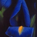 Night Iris. Obraz akrylowy 60x80.