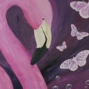 Flamingowe motyle
