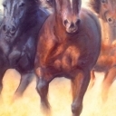 Galop