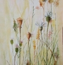 Herbarium II