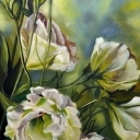 Eustoma