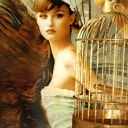 motyl