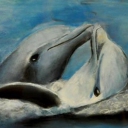 delfinki