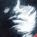 portret