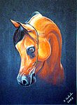 Arabka