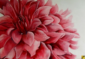 Dalia