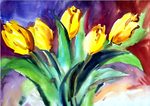Tulipany Tulipany