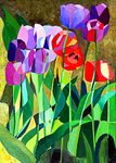 Tulipany II