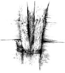 Drzewoczas VII Drzewoczas VII
