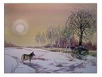 ZADUMANY WILK