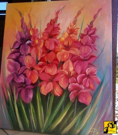 Gladiolusy 