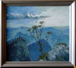 Zimowe Pieniny
