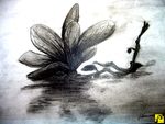 Kwiat magnolii