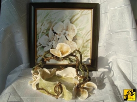 Phalaenopsis w zieleni koszyczek