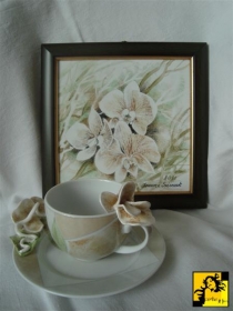 Phalaenopsis w zieleni filiżanka