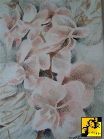 Cykl Portrety Orchidei c