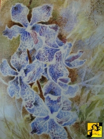 Cykl Portrety Orchidei a