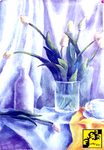 tulipany tulipany