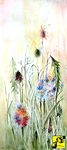 Herbarium I