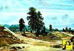Sandy Hills Sandy Hills
