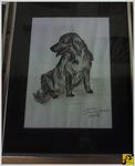 Roki
