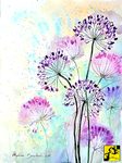 Alium Alium