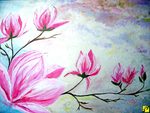 magnolie