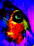 Birdy