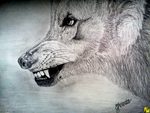 Wilk